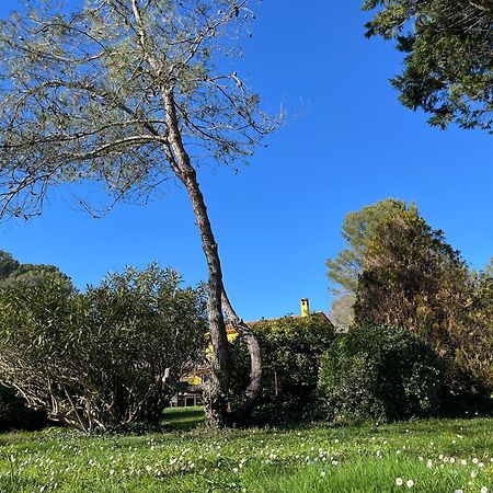 Villa De Miha Valbonne Exterior photo