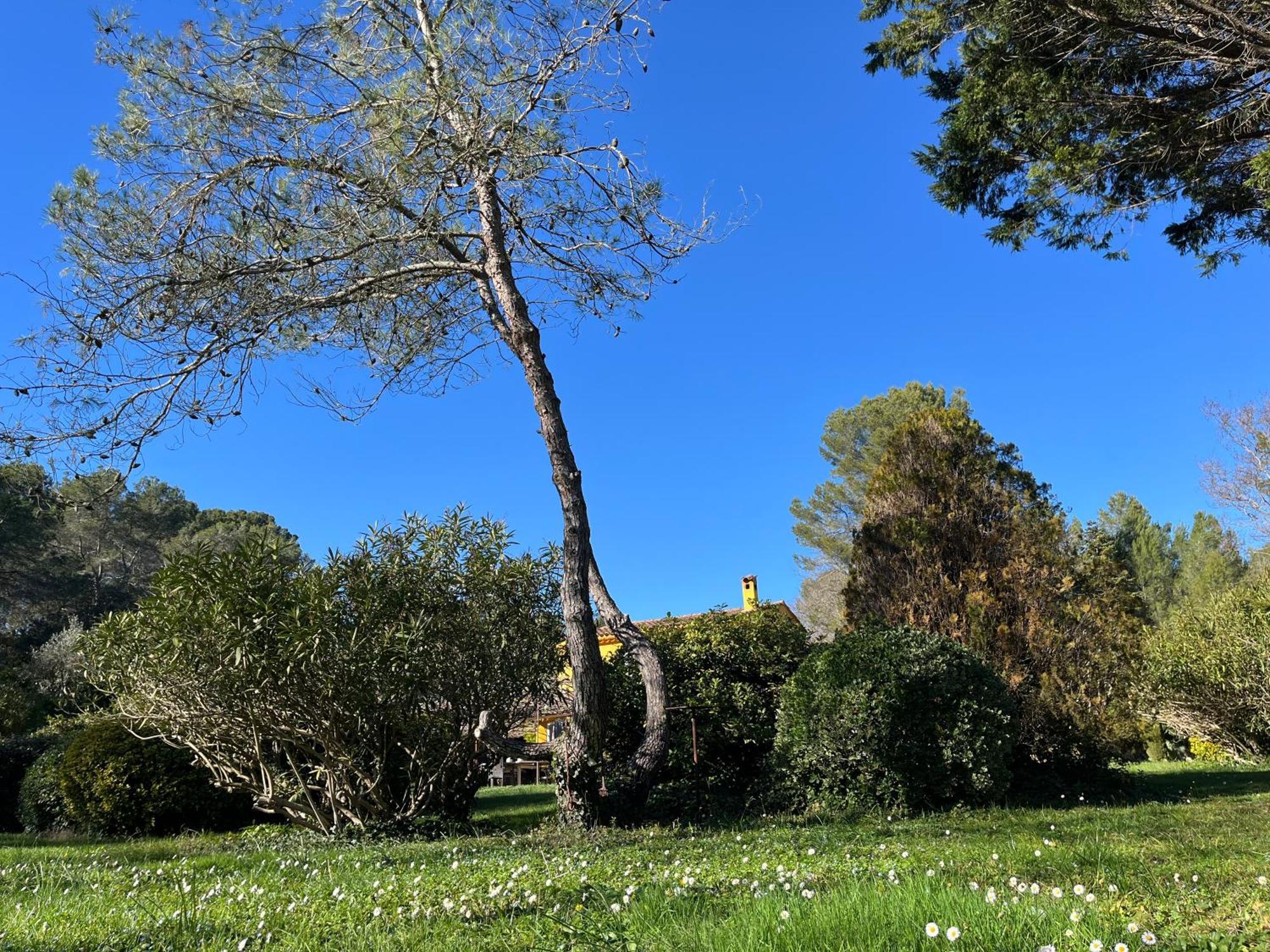 Villa De Miha Valbonne Exterior photo